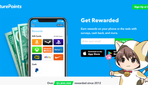 【アンケートで稼ぐ】Feature Pointsでアンケートに答えてオンラインで稼ぐ副業をやってみた